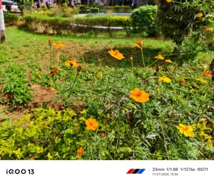 iQOO 13 Camera samples 1