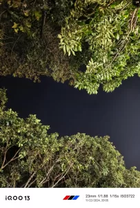 iQOO 13 Camera samples 4