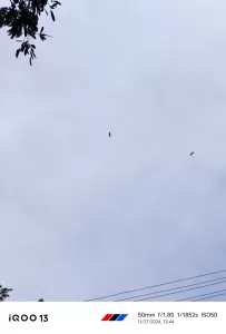 iQOO-13-Camera-samples