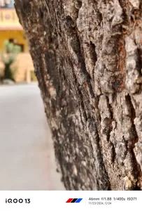 iQOO 13 Camera samples Telephoto 1